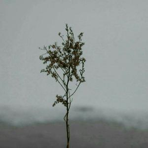 同志白嫩翘臀体育生视频
